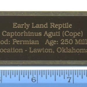 Brass-Engraved Information Plates