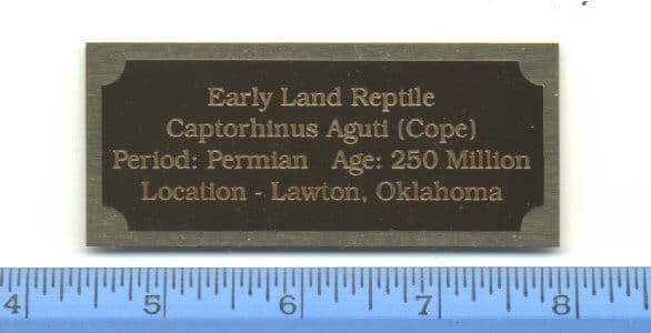 Brass-Engraved Information Plates