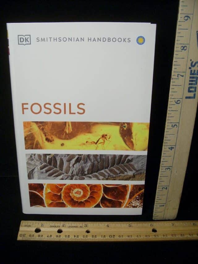 Great Fossil Book - Fossils - Smithsonian Handbooks (050102a)