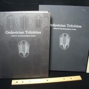 Collectors Edition - "Ordovician Trilobites" of the St Petersburg Region, Russia (021210h)
