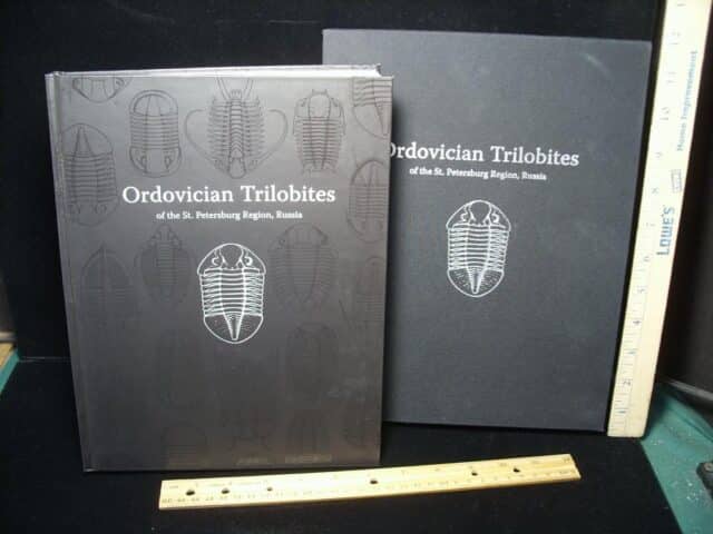 Collectors Edition - "Ordovician Trilobites" of the St Petersburg Region, Russia (021210h)