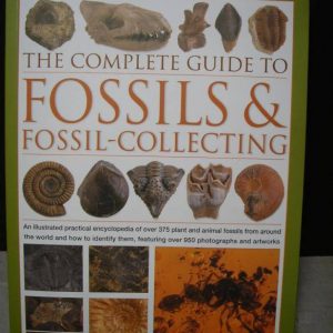 fossils and dinosaurs readworks answers