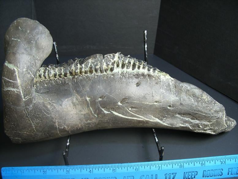 dinosaur with duckbill mouth