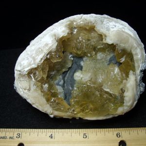 Calcite Clams
