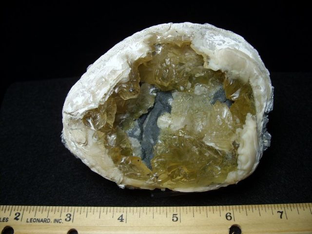 Calcite Clams