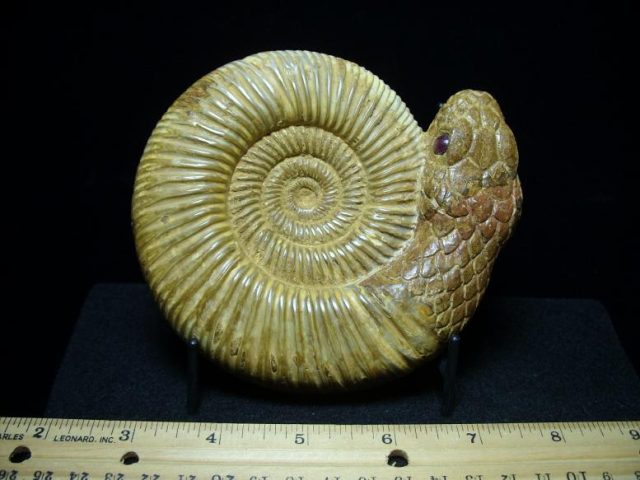 Ammonite Snake Rock Carving