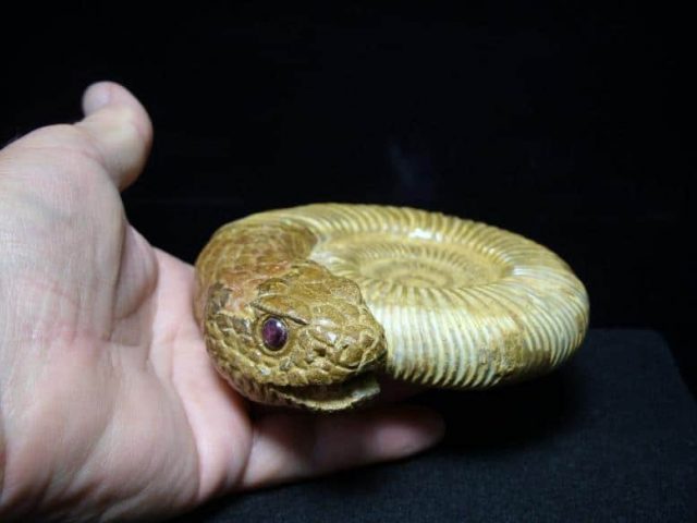 snakes