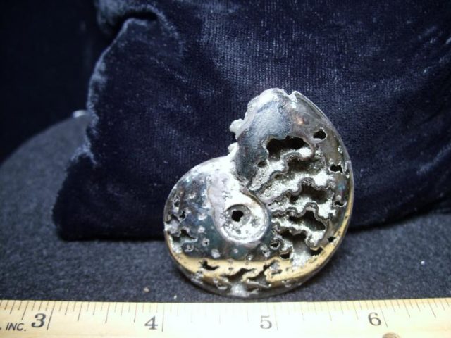Pyritized Ammonite  (060219j) - Image 3