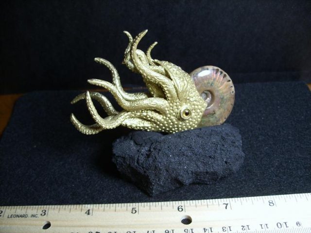 Brass Model Ammonite (012520n)