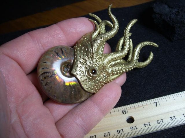 Brass Model Ammonite (012520n) - Image 4