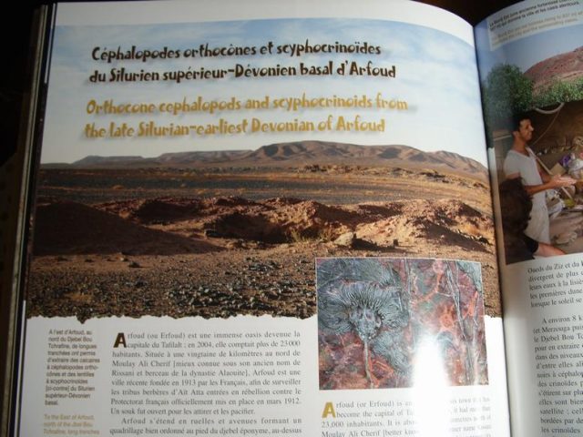 Fossils from Morocco Book (013020b) - Image 2