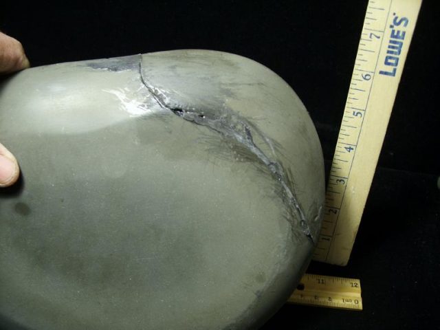 Ancyloceras – Ammonite (021420y) - Image 3