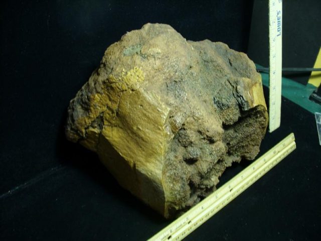 Duckbill Dinosaur Bone (022520j) - Image 3