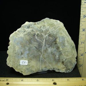Dinosaur Coprolite  (Poop) (030320j)