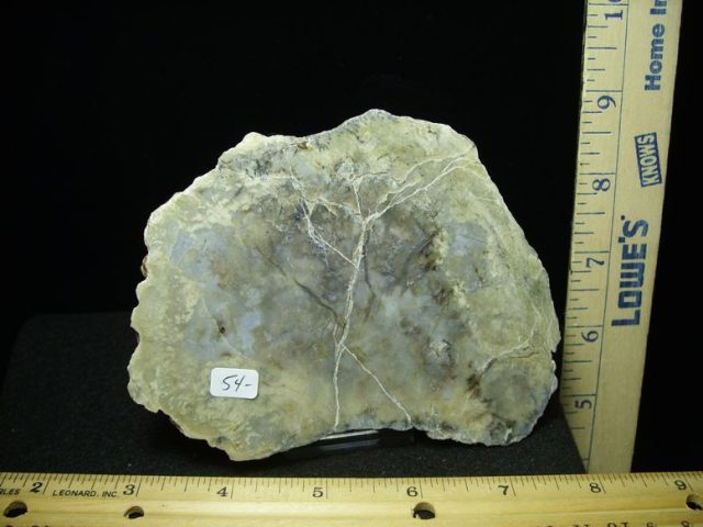Dinosaur Coprolite  (Poop) (030320j)