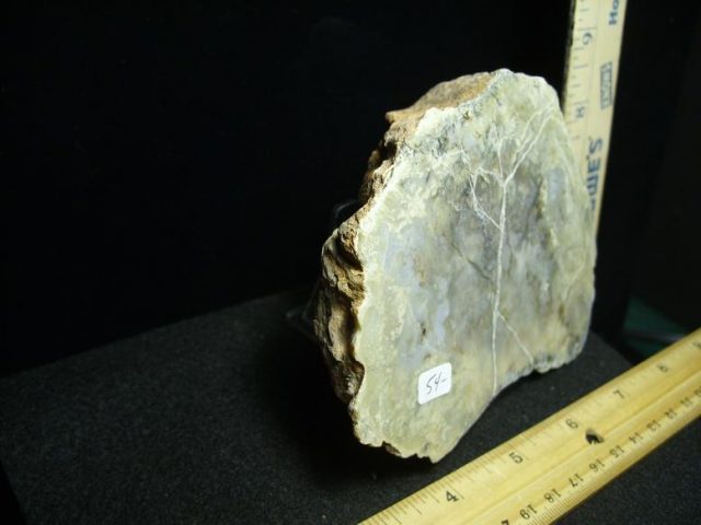 Dinosaur Coprolite  (Poop) (030320j) - Image 3