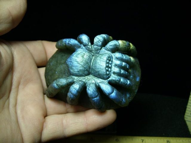 Labradorite Tarantula Spider Carving(040820e)