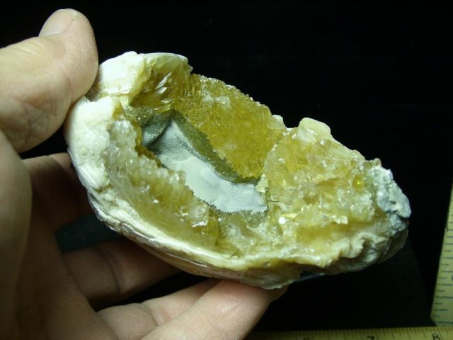 Fossilized Calcite Crystal filled Clam (050120a) - Image 2