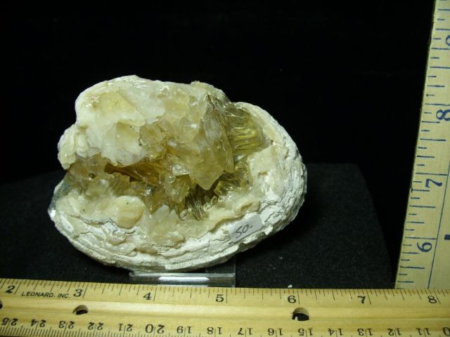 Fossilized Calcite Crystal filled Clam (050120c)