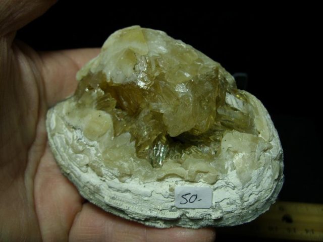 Fossilized Calcite Crystal filled Clam (050120c) - Image 2