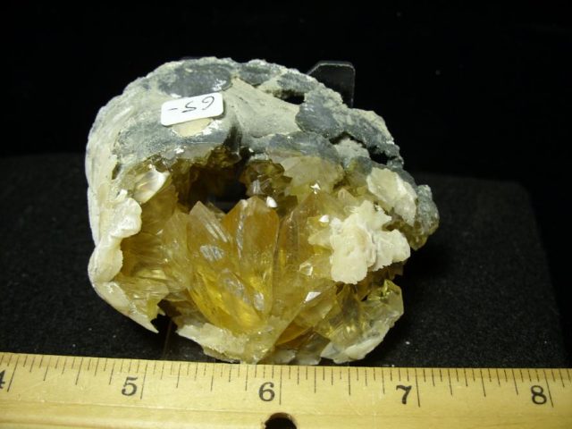 Fossilized Calcite Crystal filled Clam (050120e)