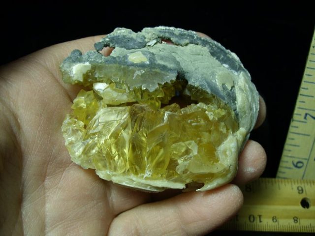 Fossilized Calcite Crystal filled Clam (050120e) - Image 2
