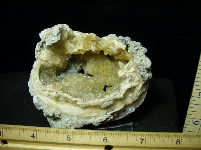Fossilized Calcite Crystal filled Clam (050120f)