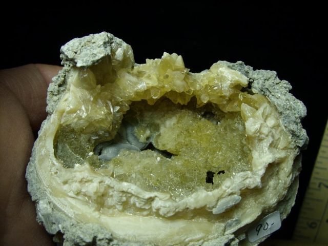 Fossilized Calcite Crystal filled Clam (050120f) - Image 2