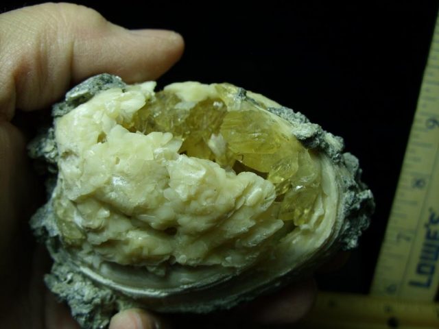 Fossilized Calcite Crystal filled Clam (050120g) - Image 2