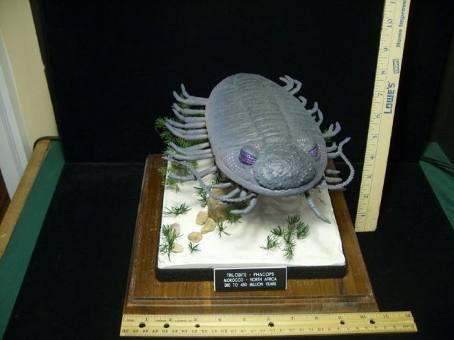 Prehistoric Trilobite Sculpture – (052020z)