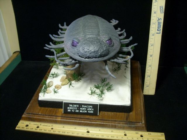 Prehistoric Trilobite Sculpture – (052020z) - Image 5