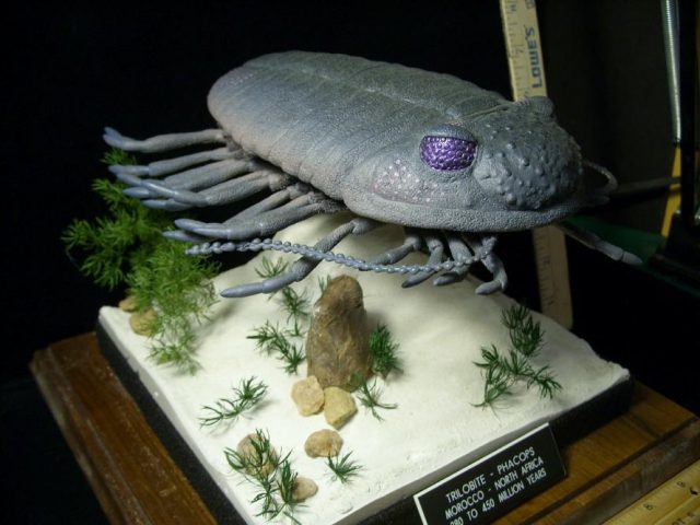 Prehistoric Trilobite Sculpture – (052020z) - Image 2