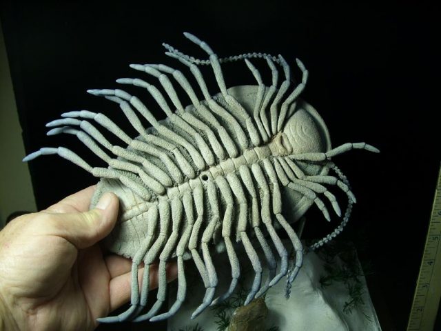 Prehistoric Trilobite Sculpture – (052020z) - Image 3