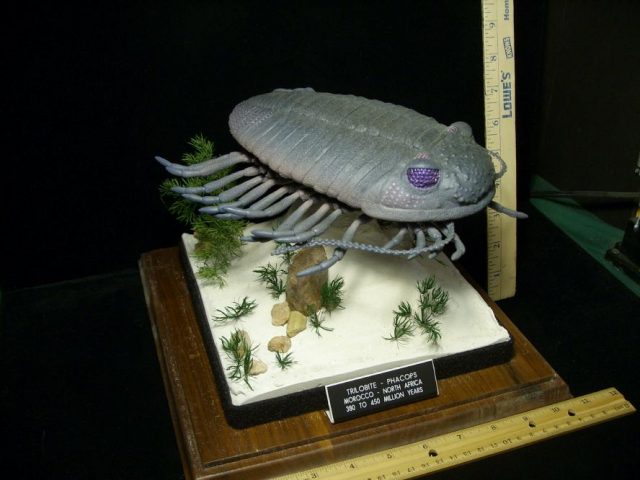 Prehistoric Trilobite Sculpture – (052020z) - Image 6