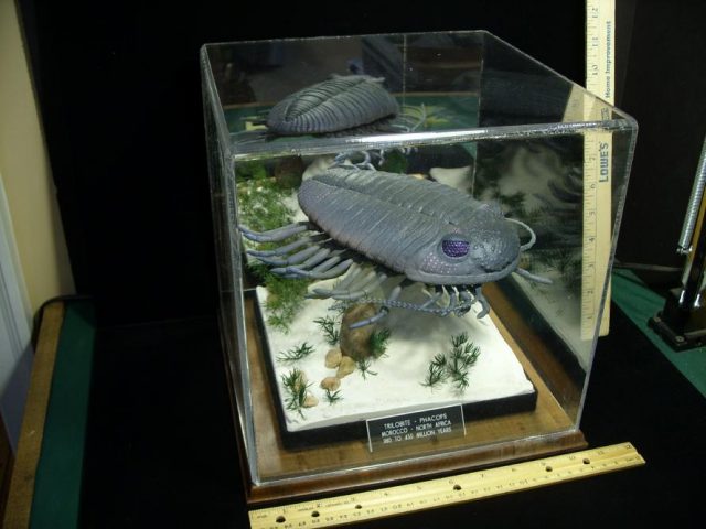 Prehistoric Trilobite Sculpture – (052020z) - Image 4