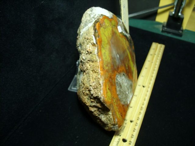 Kentucky Agate (052520a) - Image 2