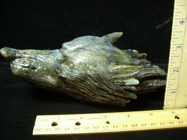 Large Dire Wolf Carving in  Labradorite  (052520f)