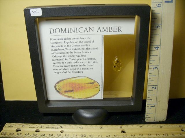Dominican Amber Specimen with Flowers (071020b) - Image 3