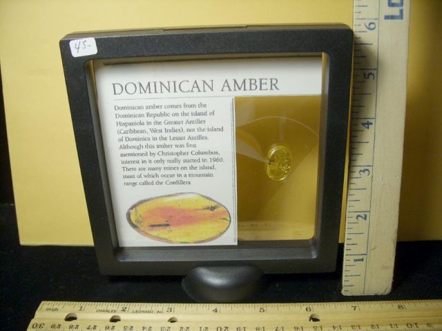 Dominican Amber Specimen with Ants & Water Bubbles(071020d) - Image 3