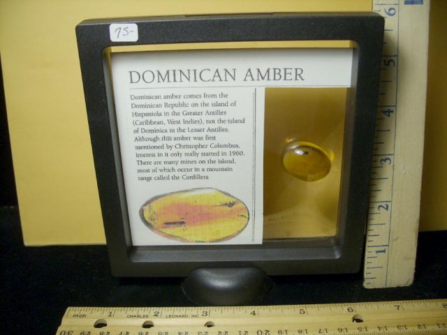 Dominican Amber Specimen with Bee (071020g) - Image 3
