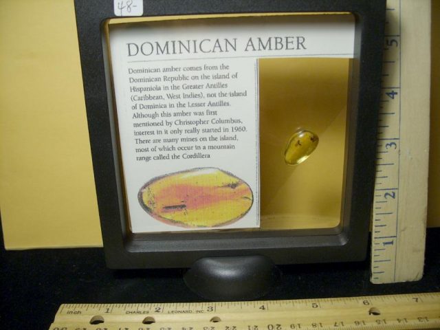 Dominican Amber Specimen with Winged Ants (071020j) - Image 3