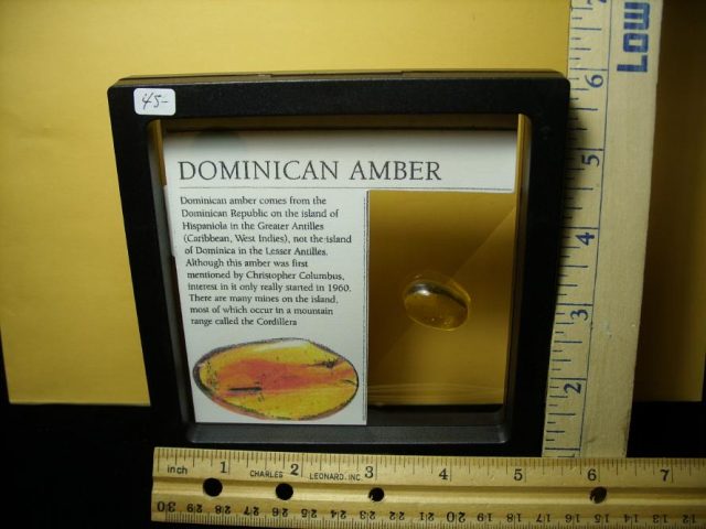 Dominican Amber Specimen with Spider (071020n) - Image 4