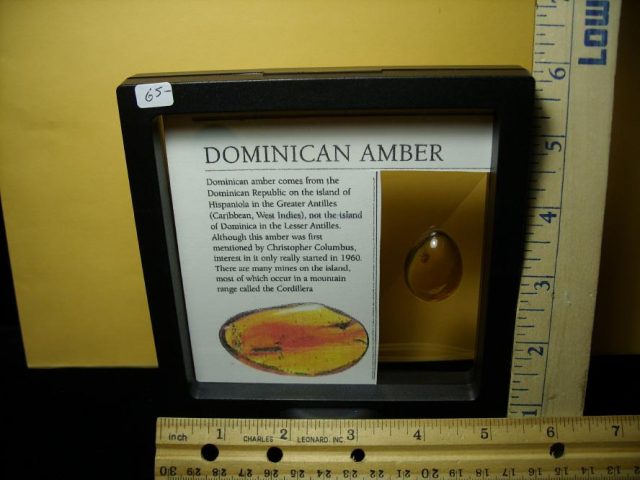 Dominican Amber Specimen with Fungus Gnat (071120f) - Image 4