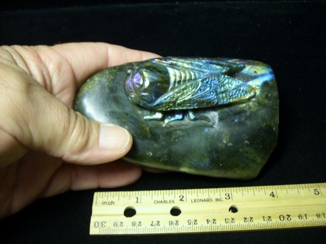Labradorite Cicada  Carving(072520d) - Image 3