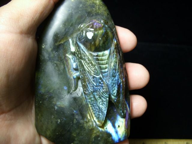 Labradorite Cicada  Carving(072520d)