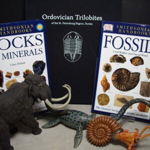 Books & Models