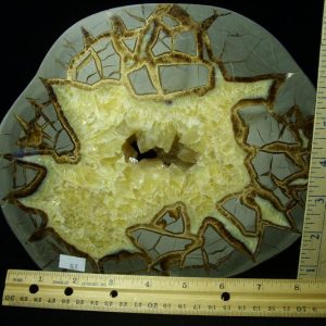 Septarian Nodules