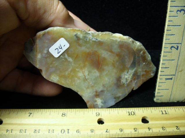 Dinosaur Coprolite  (Poop) (081520h)