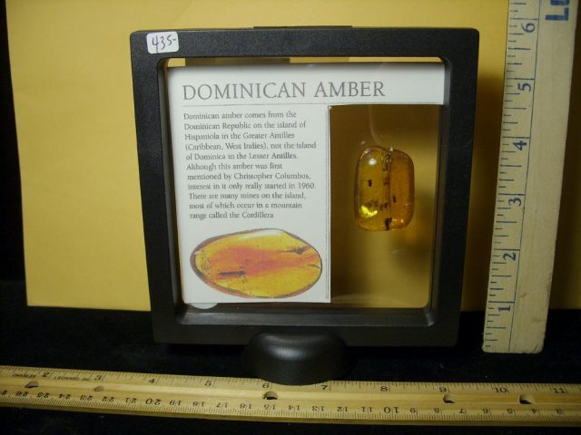 Dominican Amber Specimen with "12" Twelve Stingless Bees(081920s) - Image 2