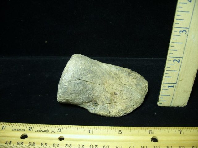 Hadrosaur Dinosaur Toe Bone (Ungal) (092620f) - Image 2